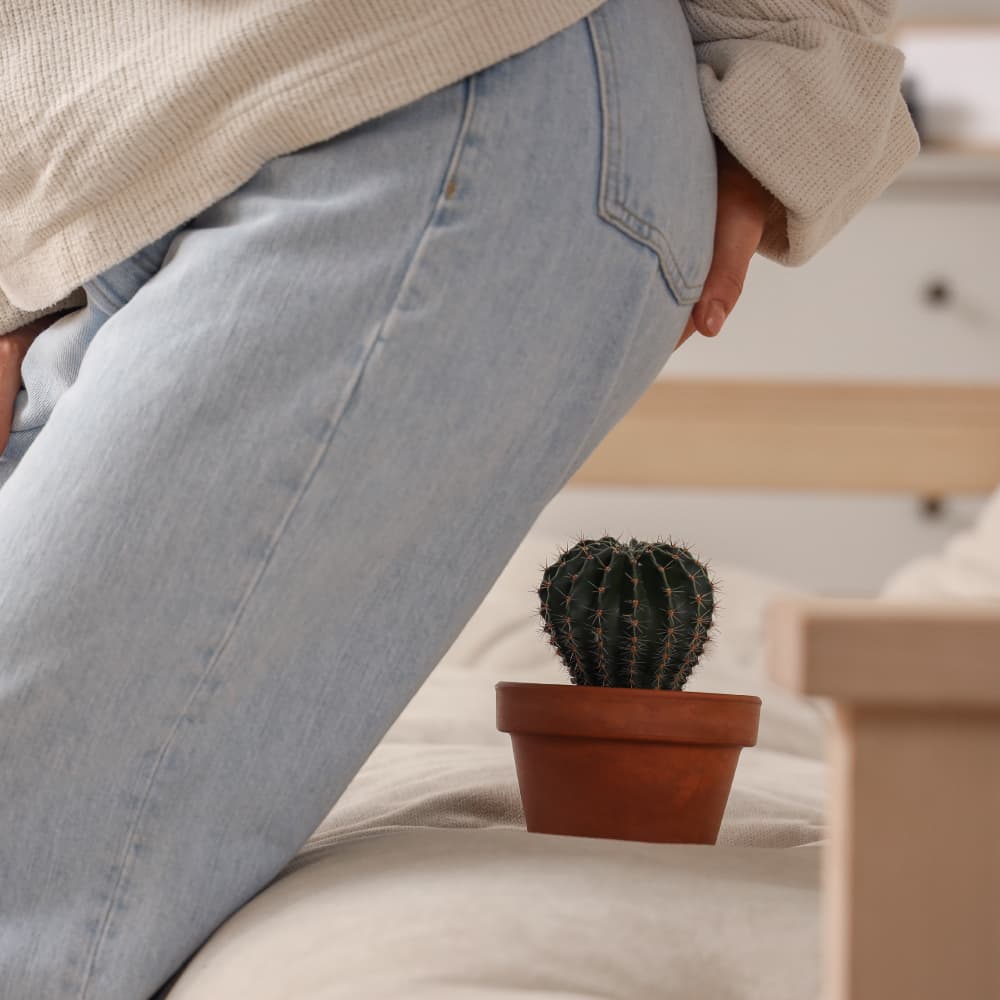 Haemorrhoids (Piles)